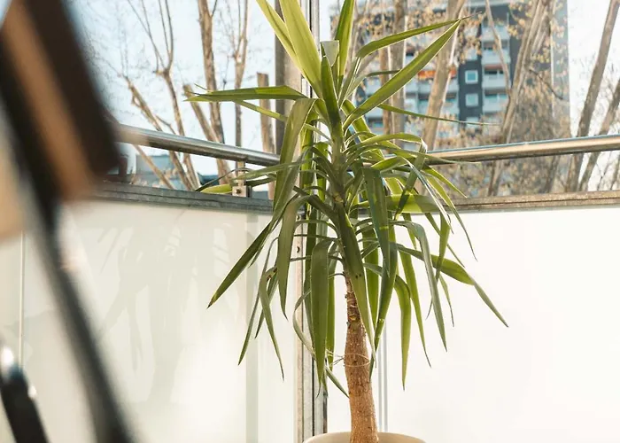 Appartement K15 Cozy, Unique & Spacious 3-room With Balcony Or Single By Lipa *